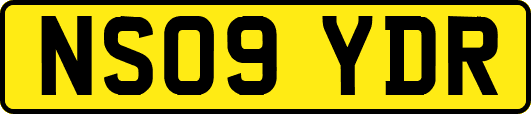 NS09YDR