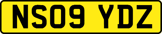 NS09YDZ