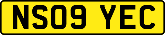 NS09YEC