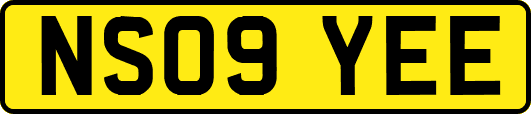 NS09YEE