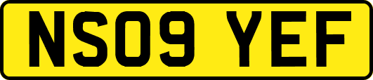 NS09YEF