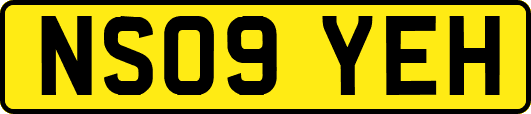 NS09YEH