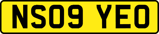 NS09YEO