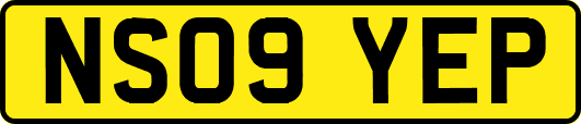 NS09YEP