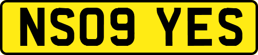 NS09YES