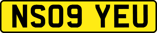 NS09YEU