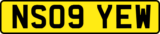 NS09YEW