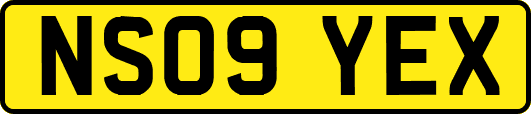 NS09YEX