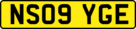 NS09YGE