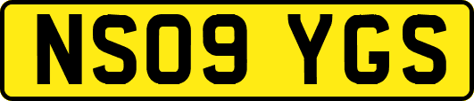 NS09YGS