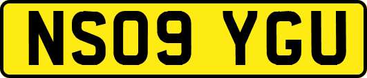 NS09YGU