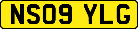 NS09YLG