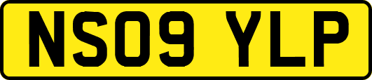 NS09YLP