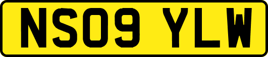 NS09YLW