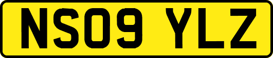 NS09YLZ