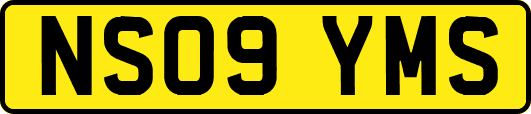 NS09YMS
