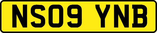 NS09YNB