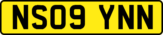 NS09YNN