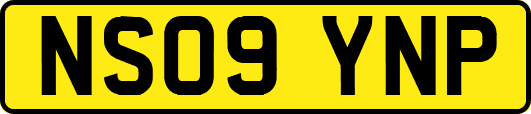 NS09YNP