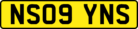 NS09YNS