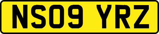NS09YRZ