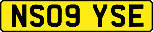 NS09YSE