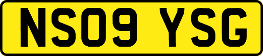 NS09YSG