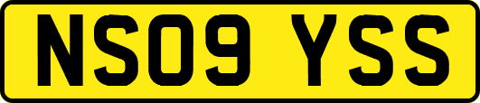 NS09YSS