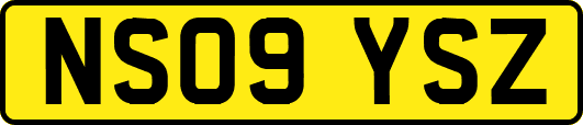 NS09YSZ