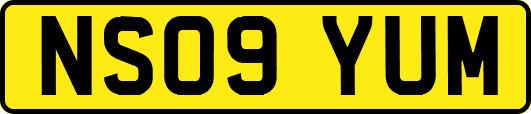 NS09YUM