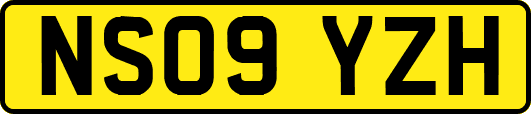 NS09YZH