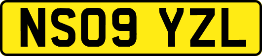 NS09YZL