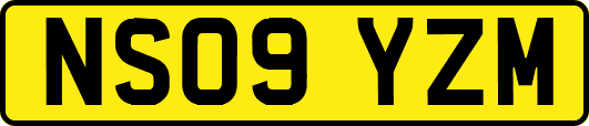NS09YZM