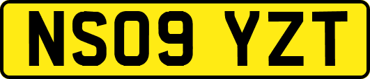 NS09YZT