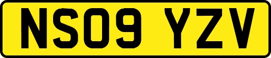 NS09YZV