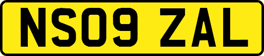NS09ZAL
