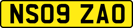 NS09ZAO