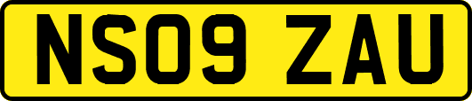 NS09ZAU