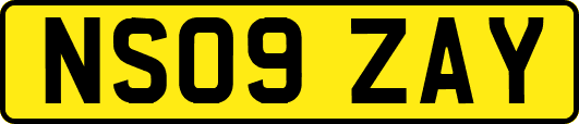 NS09ZAY