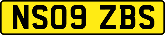 NS09ZBS