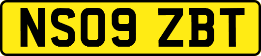NS09ZBT