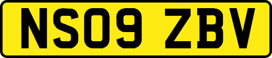 NS09ZBV