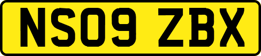 NS09ZBX