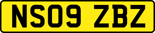 NS09ZBZ