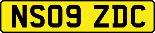 NS09ZDC