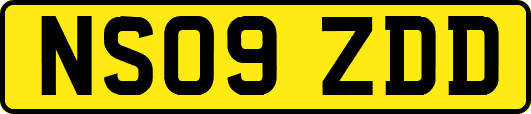 NS09ZDD