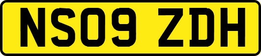 NS09ZDH