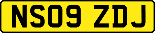 NS09ZDJ