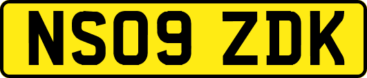 NS09ZDK