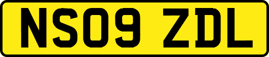 NS09ZDL